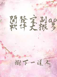 开发定制app软件大概多少钱