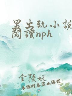 男出轨小说在线阅读nph