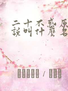 二十不惑原著小说叫什么名字来着