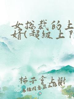 女总裁的上门女婿(超级上门女婿)