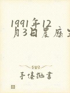 1991年12月3日农历生辰八字