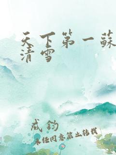 天下第一苏铭叶清雪