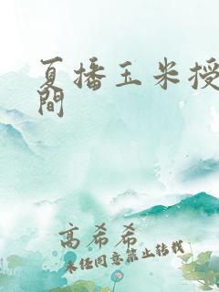 夏播玉米授粉时间