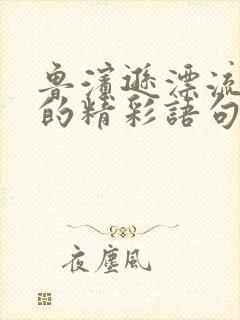 鲁滨逊漂流记中的精彩语句