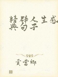 精辟人生感悟经典句子