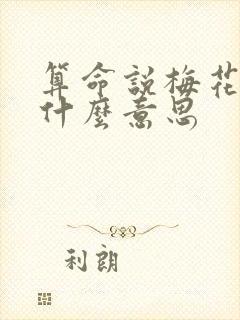算命说梅花运是什么意思