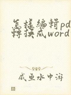 怎样编辑pdf转换成word的文档