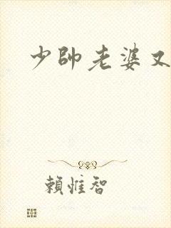 少帅老婆又跑了