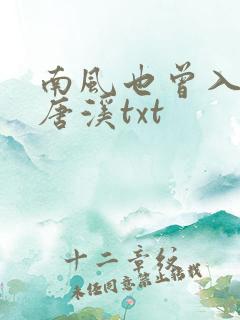 南风也曾入我怀唐溪txt