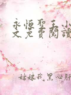 永恒圣王小说全文免费阅读