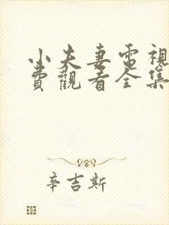 小夫妻电视剧免费观看全集完整版高清