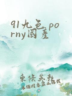 91九色 porny国产