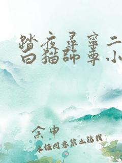 踏夜寻宁二哈和白猫师尊小说