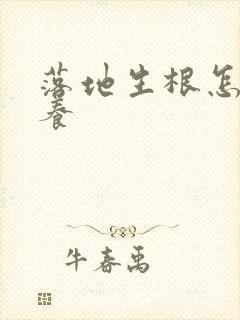 落地生根怎么样养