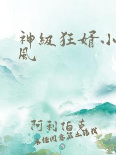 神级狂婿小说岳风
