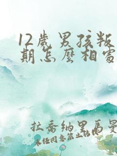 12岁男孩叛逆期怎么相处