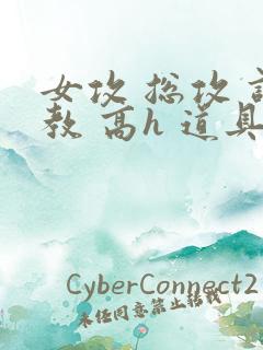 女攻 总攻 调教 高h 道具