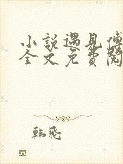 小说遇见傅先生全文免费阅读
