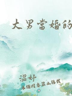大男当婚的结局