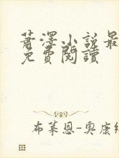 萧泽小说最新版免费阅读