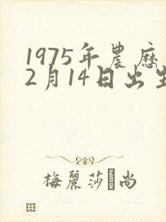 1975年农历2月14日出生命运