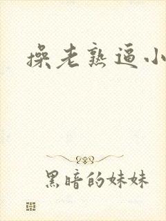 操老熟逼小说