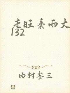 老旺秦雨大结局132