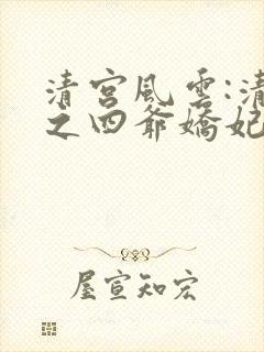 清宫风云:清穿之四爷娇妃