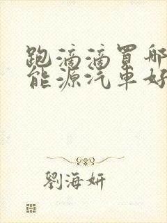 跑滴滴买哪款新能源汽车好