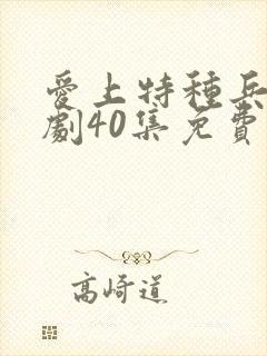 爱上特种兵电视剧40集免费观看