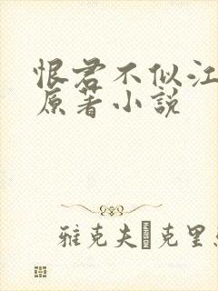 恨君不似江楼月原著小说