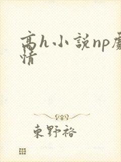 高h小说np剧情
