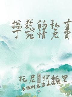 总裁的私有宝贝丁宛情免费阅读
