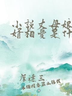 小说丈母娘和女婿相爱是什么小说