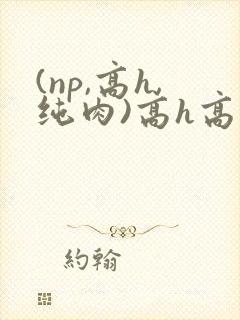 (np,高h,纯肉)高h高辣小说