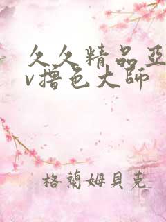 久久精品亚洲av撸色大师