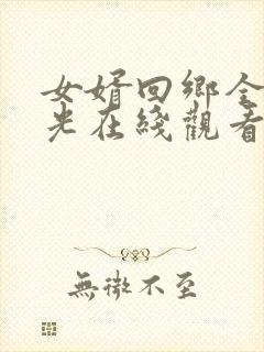 女婿回乡全村风光在线观看