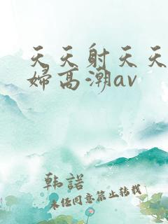 天天射天天插少妇高潮av