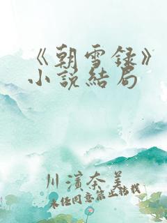《朝雪录》原著小说结局