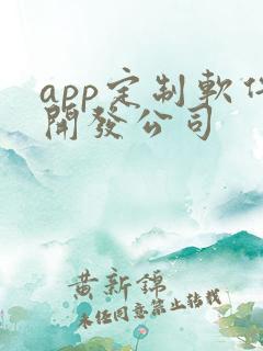 app定制软件开发公司