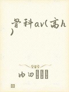 骨科av(高h)