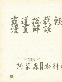 霸道总裁轻点爱漫画解说