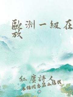 欧洲一级在线播放