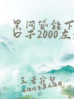 黑网贷能下款的口子2000左右