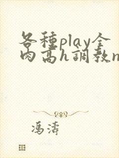 各种play全肉高h调教np