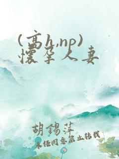 (高h,np)怀孕人妻
