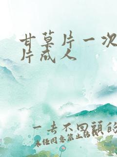 甘草片一次吃几片成人