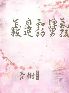 怎么和脾气暴躁叛逆的男孩沟通