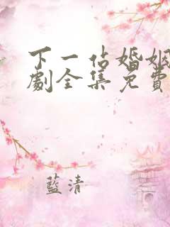 下一站婚姻电视剧全集免费播放