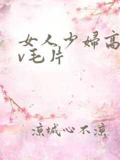 女人少妇高潮av毛片